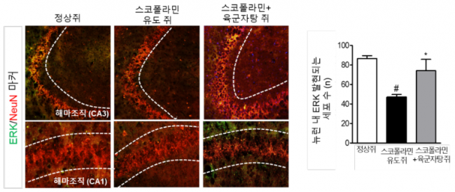 동향분석-[KIOM 동향]-img-04.png